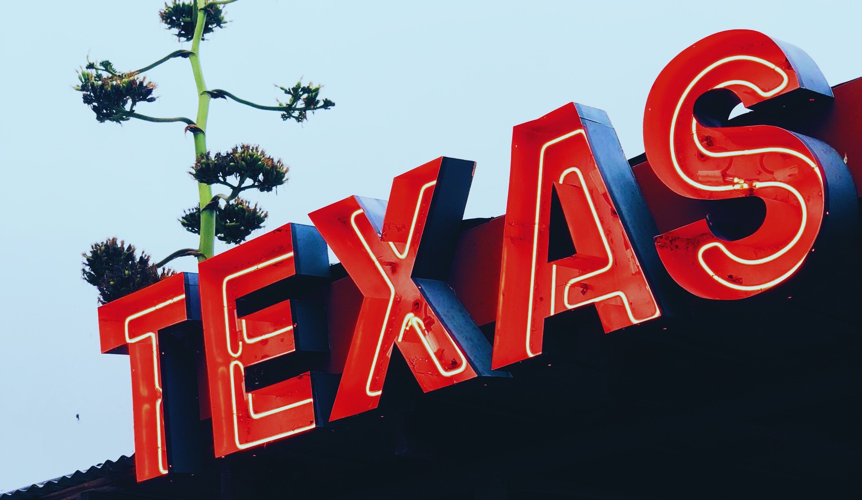 How to Start a Business in Texas and Why